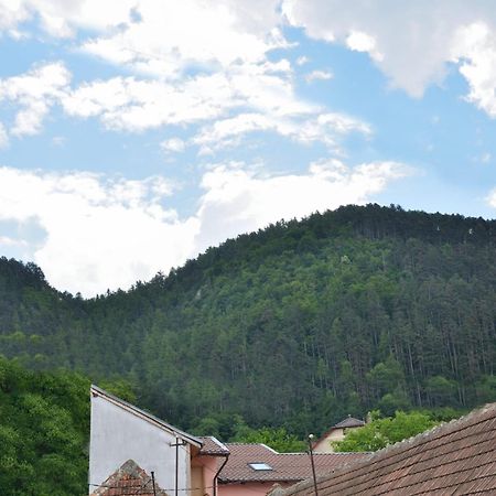 Casa Chiper - Attic Apartment With View ブラショフ エクステリア 写真